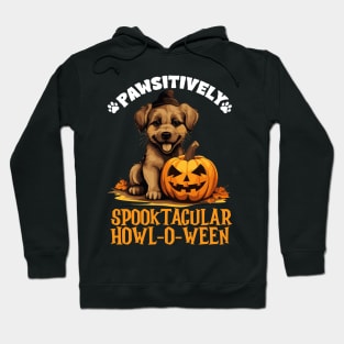 Pawsitively Spooktacular Howl-o-ween Dog Costume Hoodie